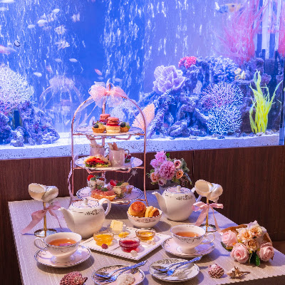 完全個室居酒屋 星夜の宴 川崎駅前店 사진 3