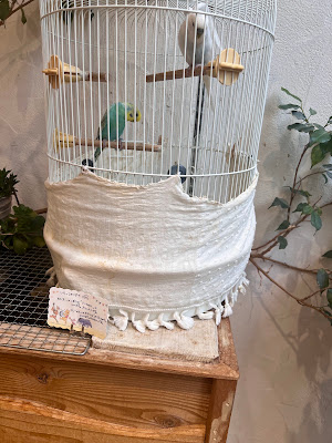 ナチュラル&ハーモニック プランツ 사진 4