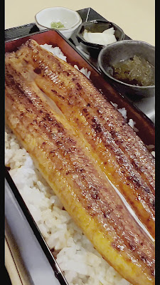武蔵小杉 鰻 しふく 사진 2