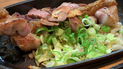 Ironman Futakotamagawa 사진 2