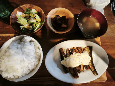 Tane 사진 4