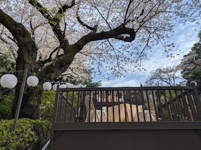 新高輪プリンスホテル 桂 特設桜見朝食会場 사진 4