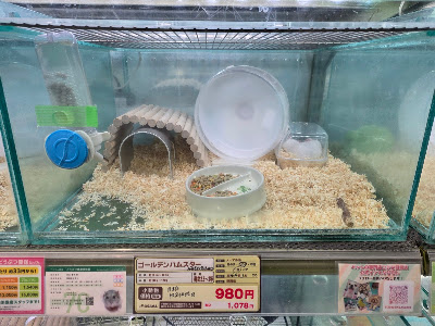 Kojima - Meguro store 사진 2