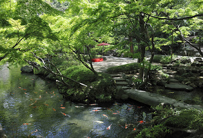 夢庵 Mu-an (Tea House) 사진 4