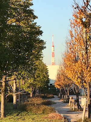 Lawn 사진 2