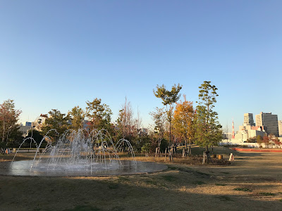Lawn 사진 5