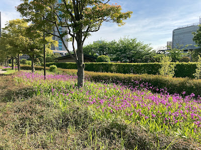 Kids' Playground 사진 3