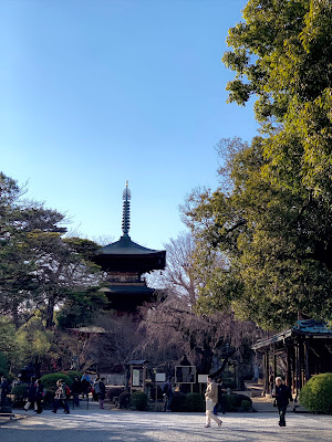 Gotokuji Temple Pine Approach 사진 4