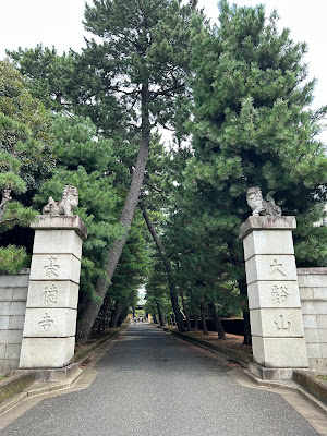 Gotokuji Temple Pine Approach 사진 3