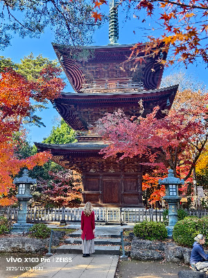 Gotokuji Temple Pine Approach 사진 5
