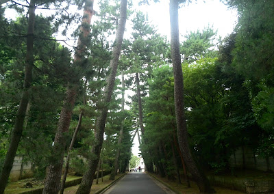 豪徳寺東辻広場 사진 5
