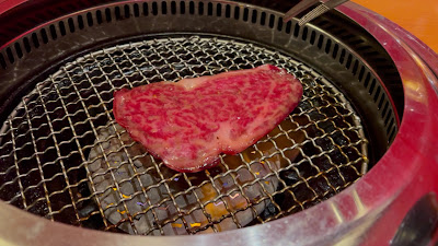 Shibaura 사진 2