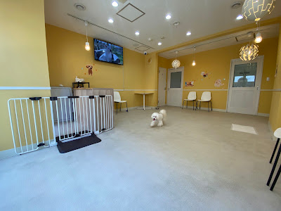 Pets Tokyo Gotokujiten 사진 2