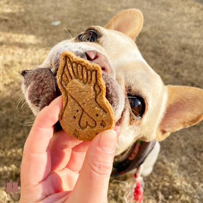 iico（イイコ） - 犬と生きる、感性をたのしむブランド 사진 2