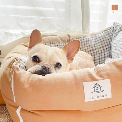 iico（イイコ） - 犬と生きる、感性をたのしむブランド 사진 3