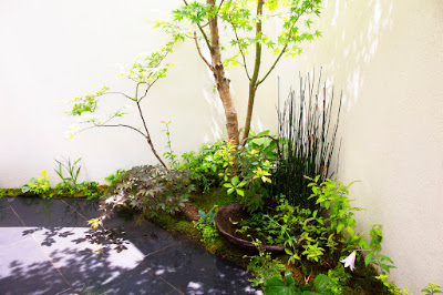 NANA galleryhiroo 사진 2