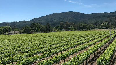 California Wine & Italian Blue 사진 4