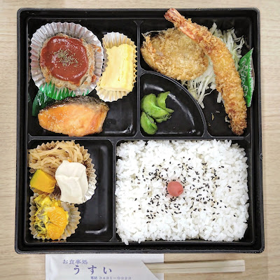 Usui 사진 3