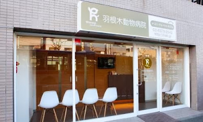 Hanegi Animal Hospital 사진 2