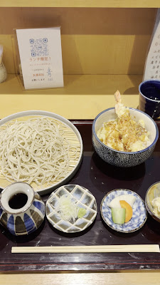 青 sei 사진 2