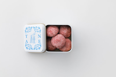하우즈 사진 3