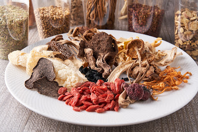 vegan veggie joga 사진 4