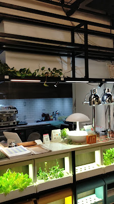 Cafe灯菜 사진 2