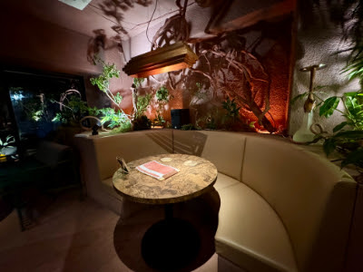 Shisha cafe & bar CA6DEN Roppongi store 사진 4