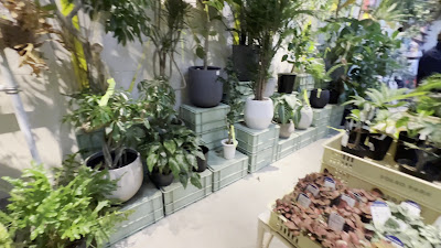 SOLSO PARK 사진 2