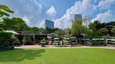 SOLSO PARK 사진 4