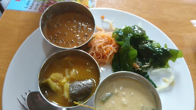 Nirvanam : The South Indian Speciality Restaurant 사진 2