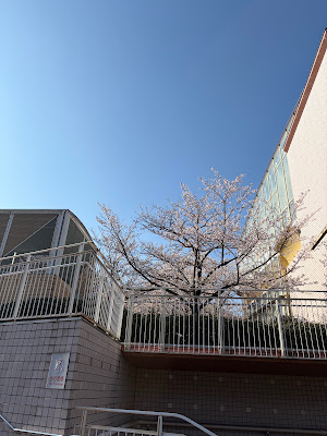 国立オリンピック記念青少年センター センター棟 사진 5
