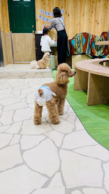 Dog Cafe RIO 사진 2