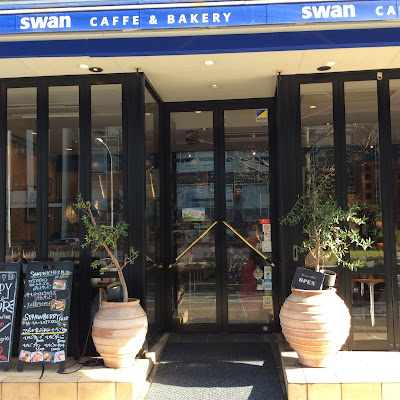 Swan 사진 4