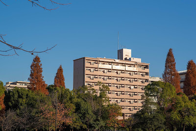 WORLD NEIGHBORS KIYOSUMI-SHIRAKAWA 사진 4