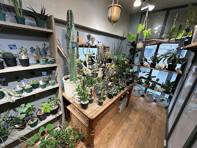 MICAN / 植物屋 사진 4