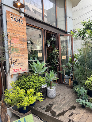 MICAN / 植物屋 사진 3