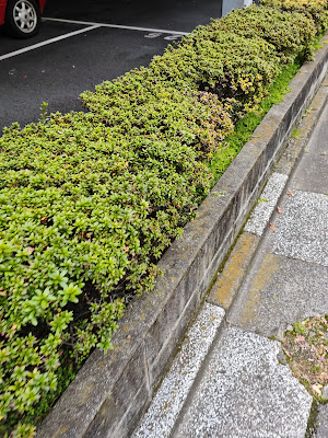 丸栄駐車場 사진 2