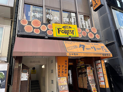 Forest 사진 4