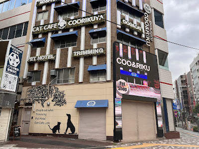 Coo and Riku petshop/cat cafe 2nd floor 사진 3