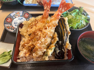 Robou 사진 2