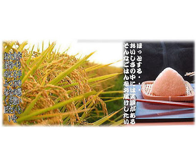 Funakubo’s 사진 3