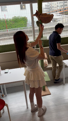保護猫カフェ にゃんちゅ〜る 사진 2