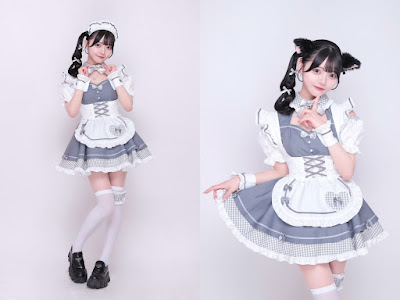 Sugar Memorial(シュガーメモリアル) │歌舞伎町コンカフェ 사진 4