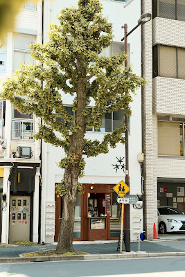 DA'TTE COOKIE STAND 사진 3