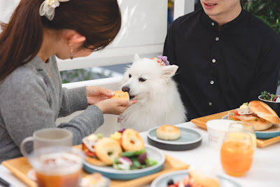 EZO DELI 사진 4