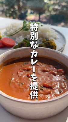 ØC coffee 井の頭公園店 사진 2
