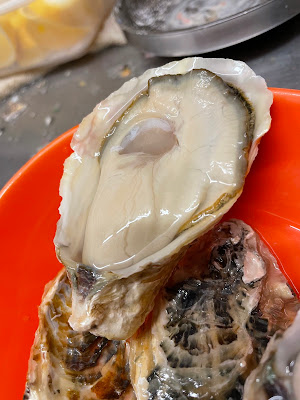 大衆オイスター酒場ぴゅん吉 사진 2