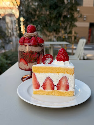 Ichibiko Kuramae 사진 5