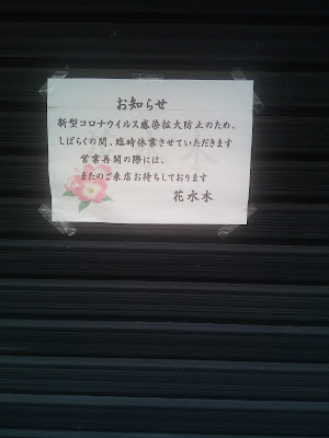 花水木 사진 3